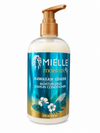 Mielle MoistureRx Hawaiian Ginger Moisturizing Leave-In Conditioner – 355ml